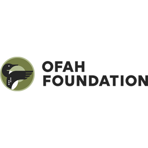 Pleins feux sur les commanditaires