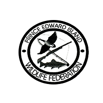 Pleins feux sur les commanditaires