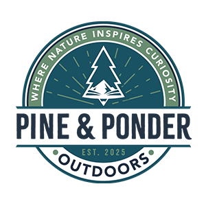 Pleins feux sur les commanditaires