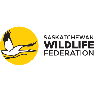 Pleins feux sur les commanditaires