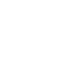 video icon