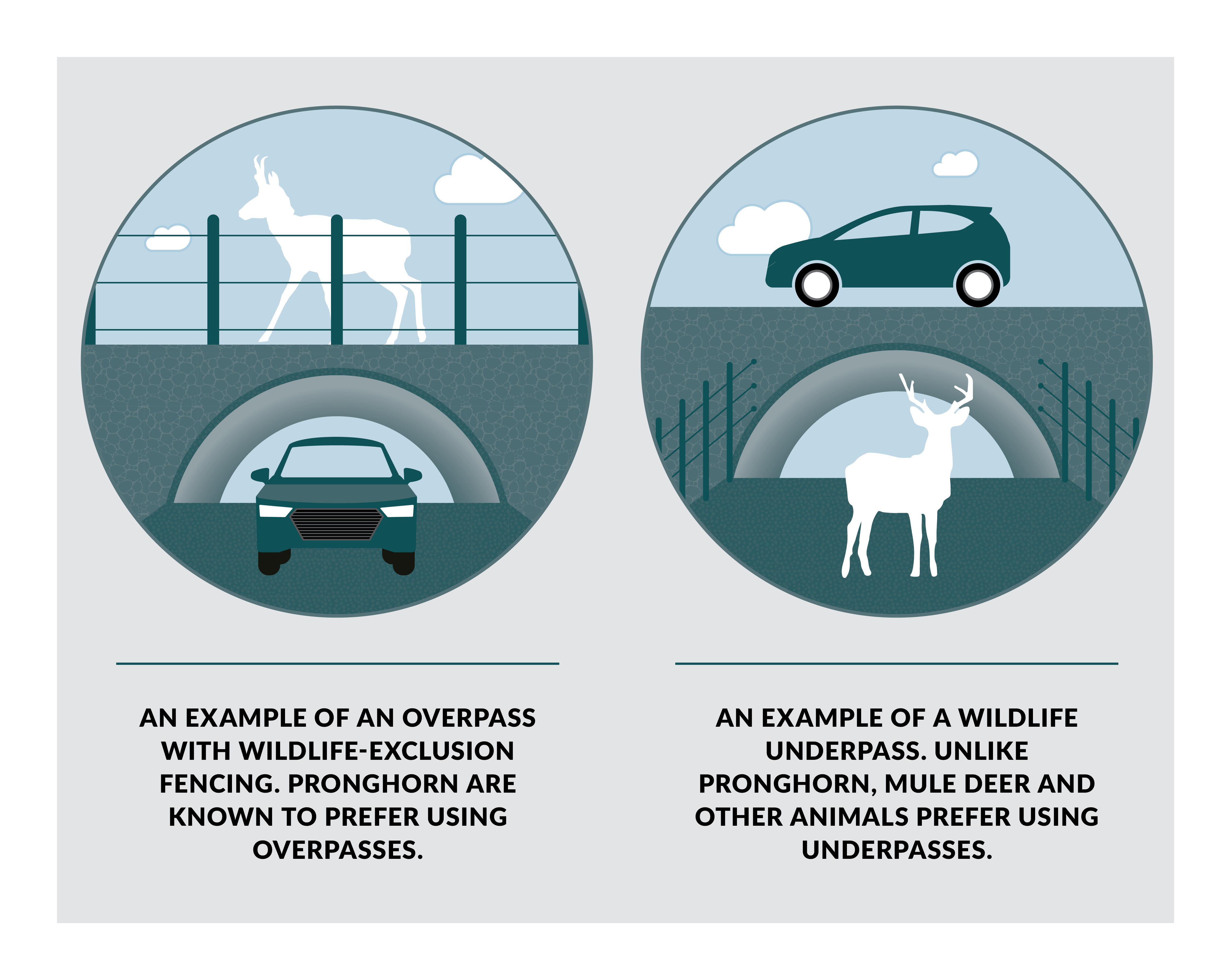 pronghorn road mitigation