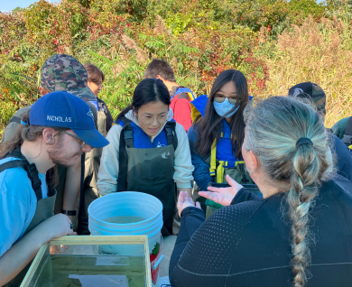 aquatic study, Heritage Laurentien, WILD Outside Montreal, 2023