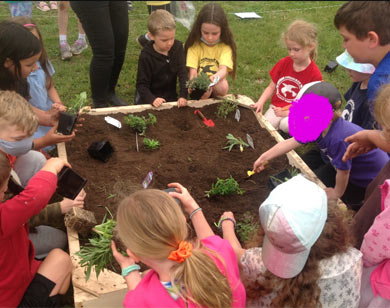 Assikinack Public School