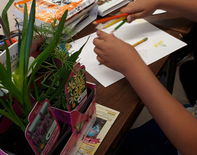 William Cook Elementary