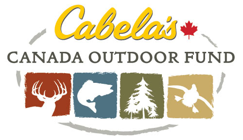 Cabela's