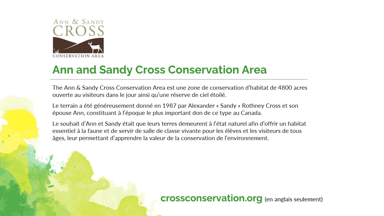 sandy-cross-fr.jpg