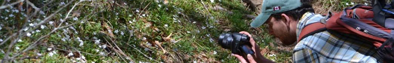 van-hemessen-photography-nature.jpg
