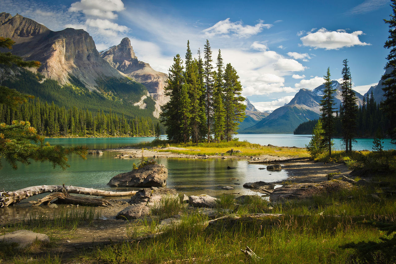Ya Ha Tinda alberta