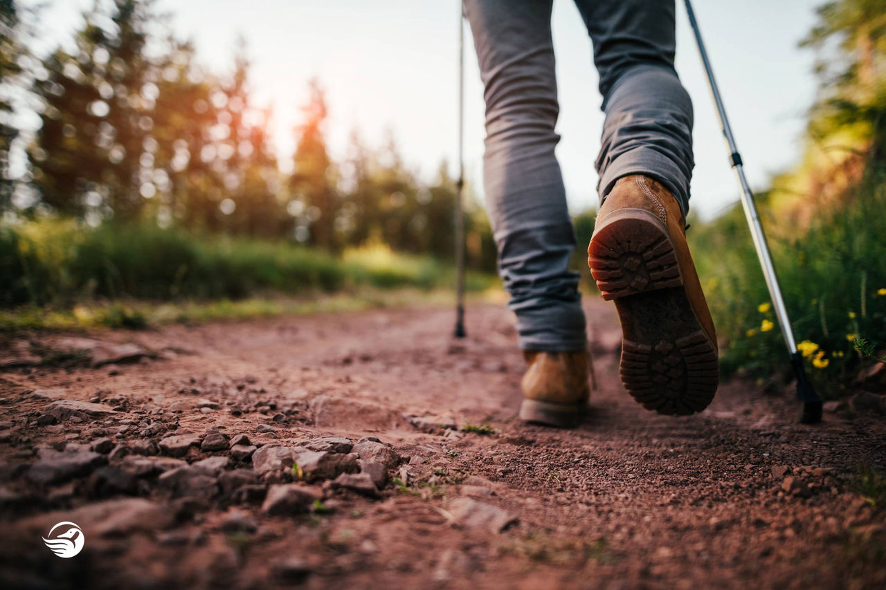 hiking alone path trail