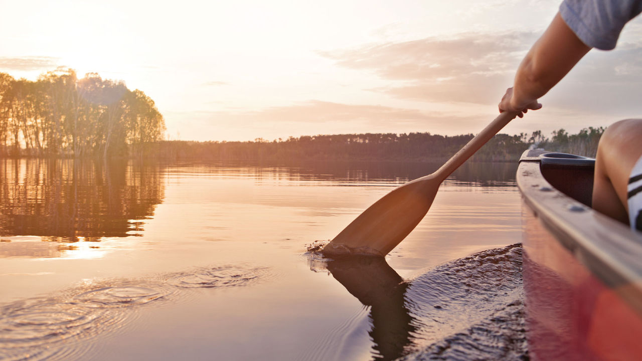 canoe paddles lg