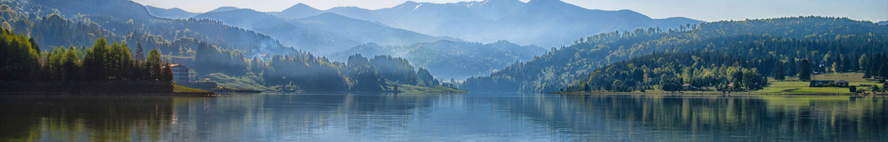 fog-forest-mountain-header.jpg