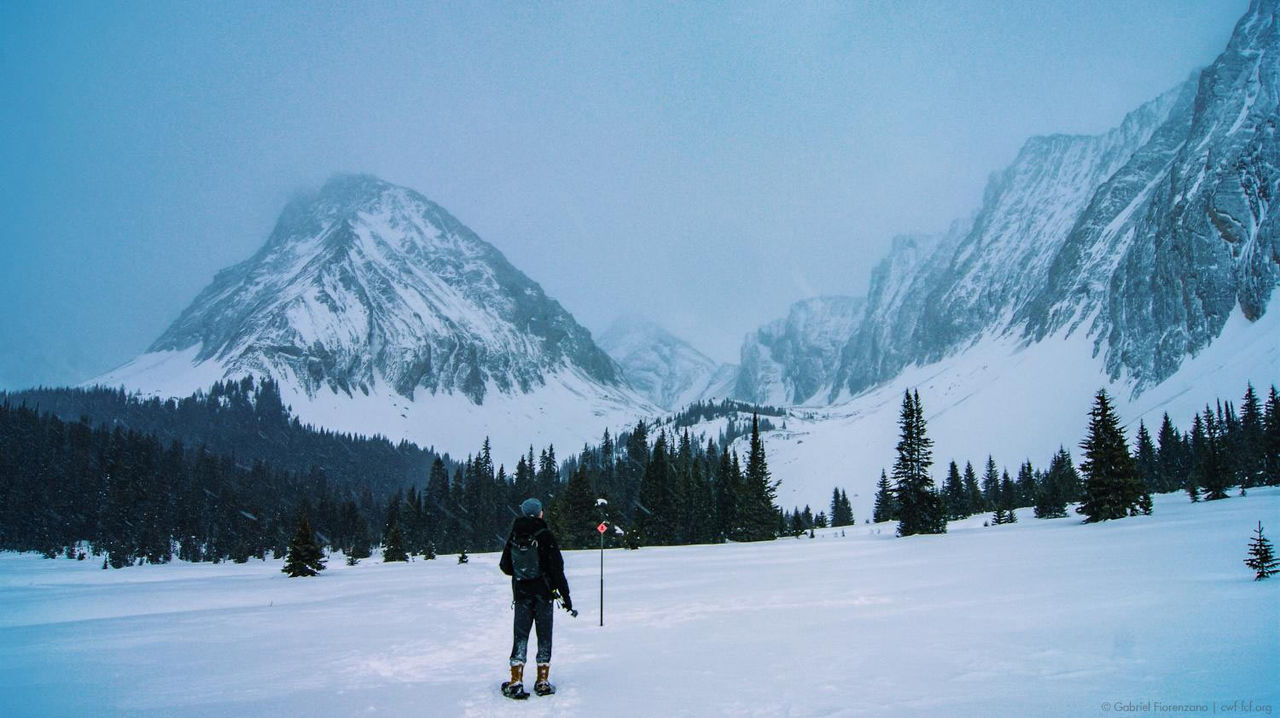 January 2016: Below Zero