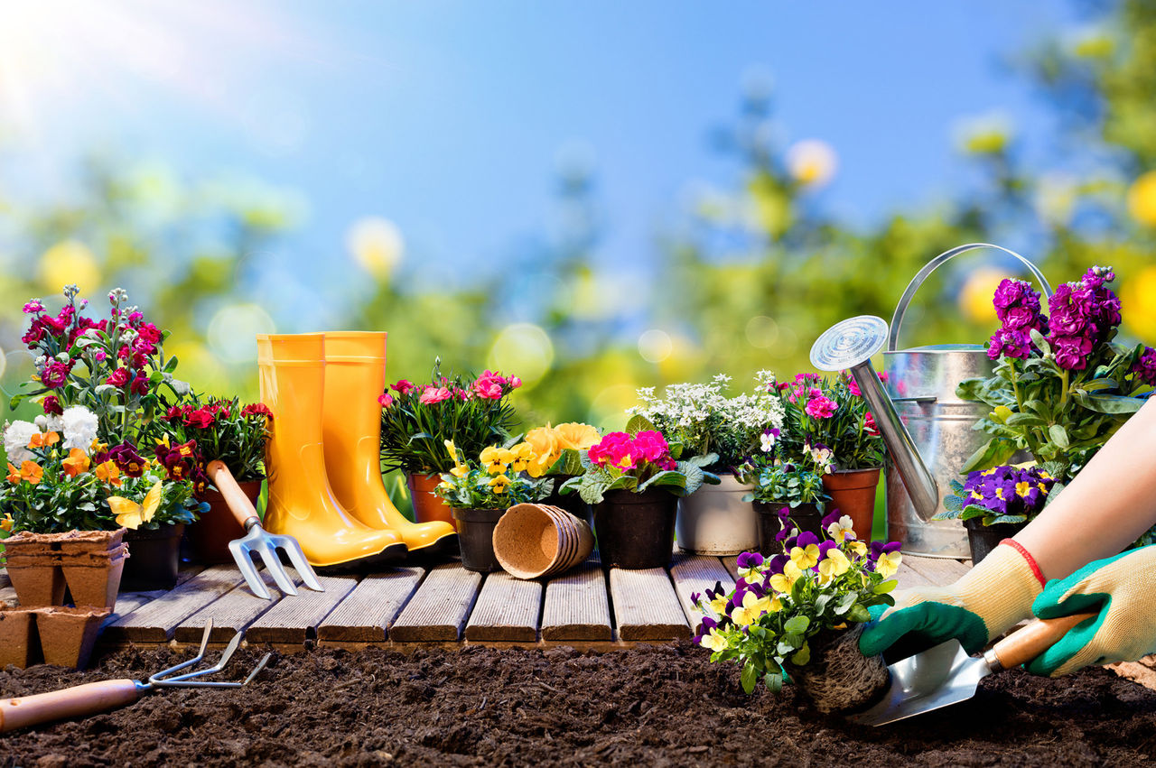 gardening tools flowers