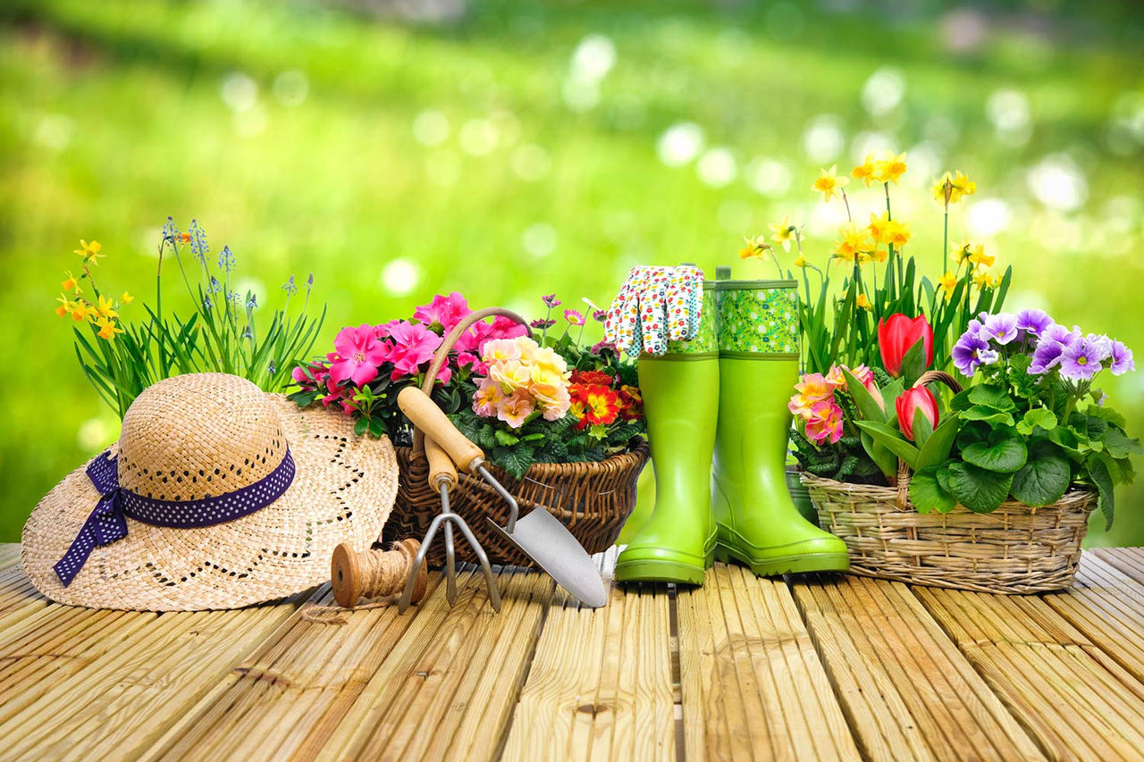 gardening-tools-511728192.jpg