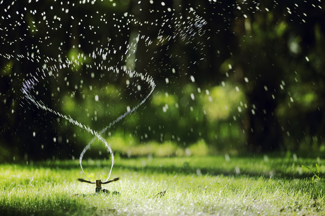 water lawn