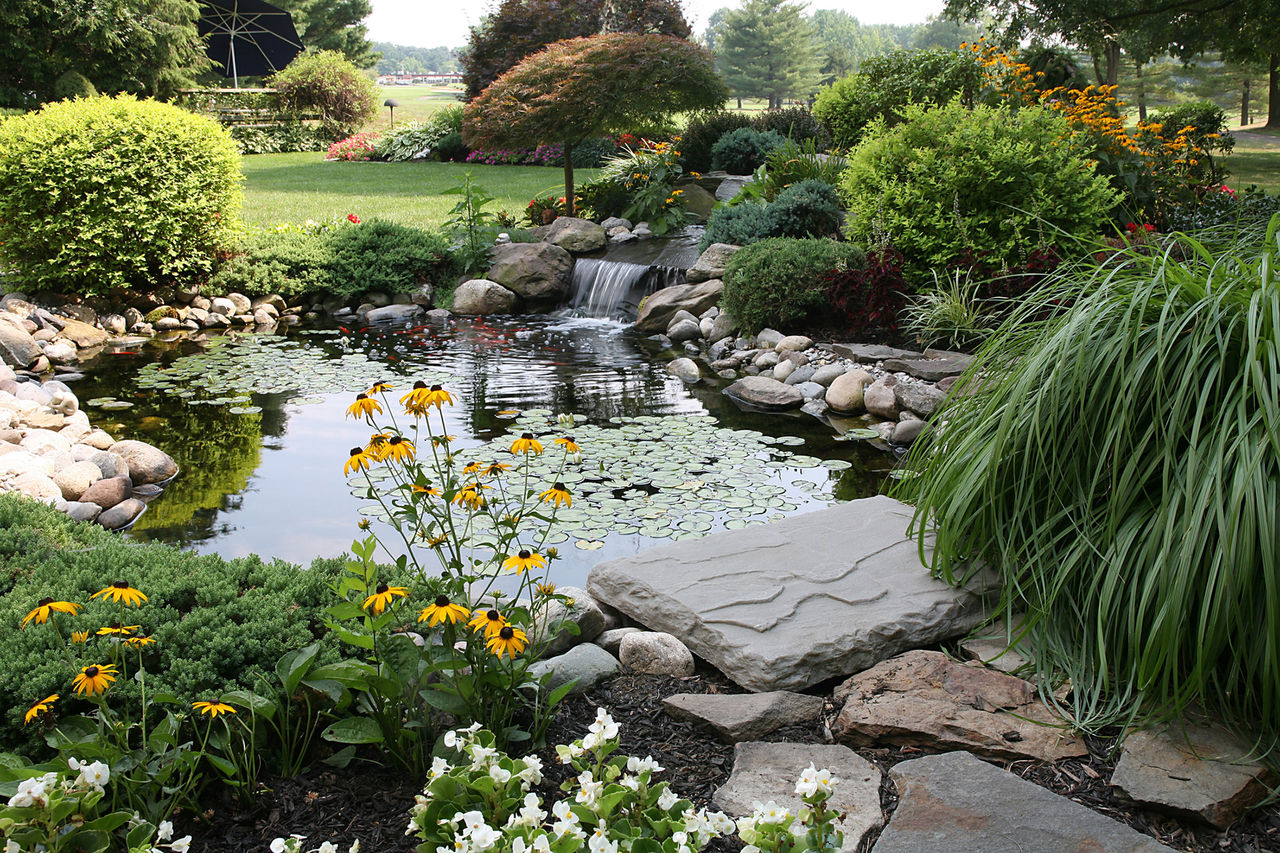 pond garden