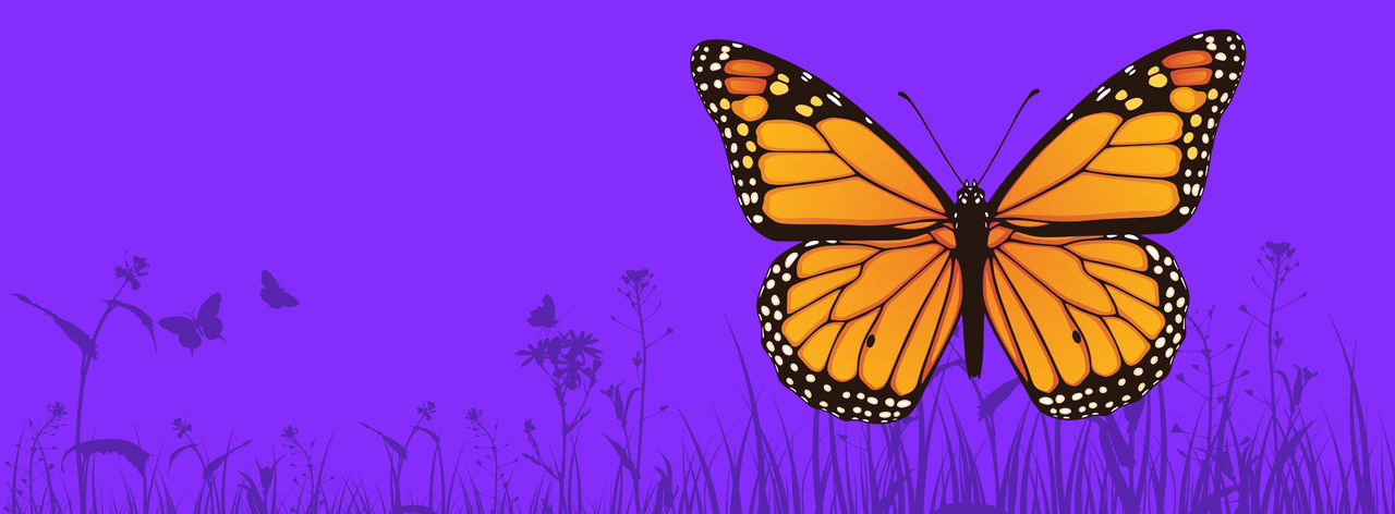 monarch puple header hor