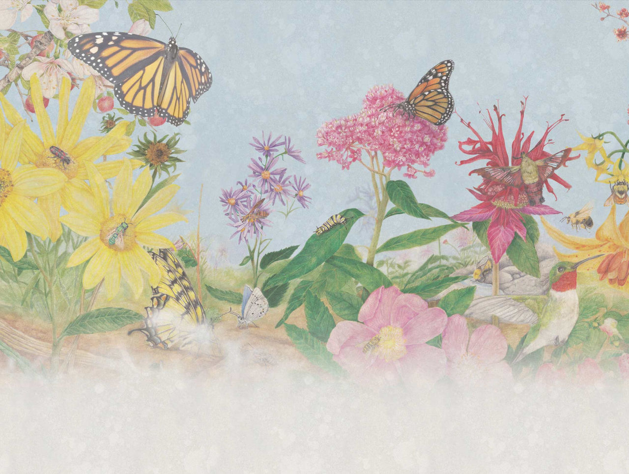 wild spaces background