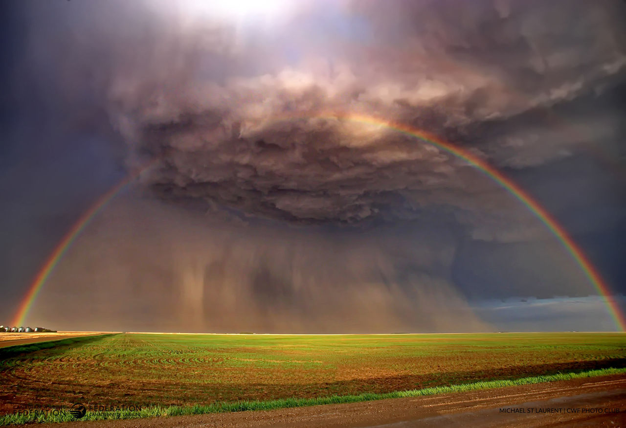 Landscape | Winner