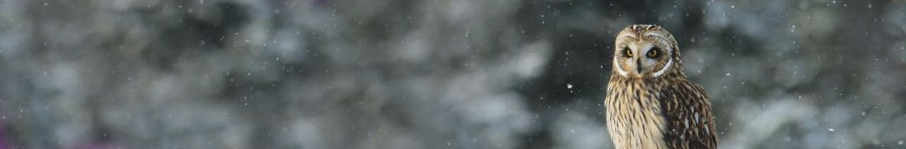 PhotoOfTheDayheaderImage.jpg