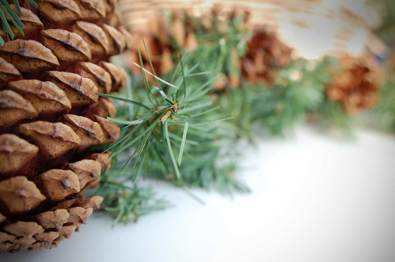 pinecones wreath snow winter christmas holiday decoration