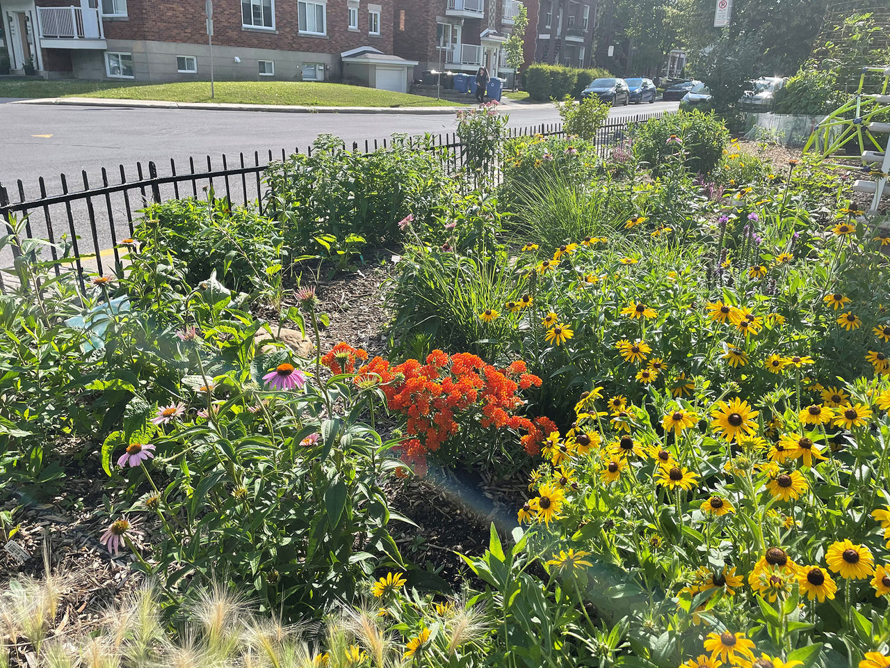 garden design
