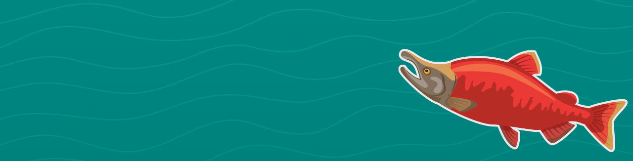 salmon banner illustrated