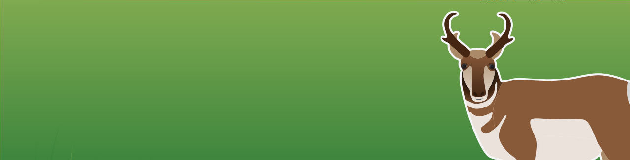 pronghorn banner