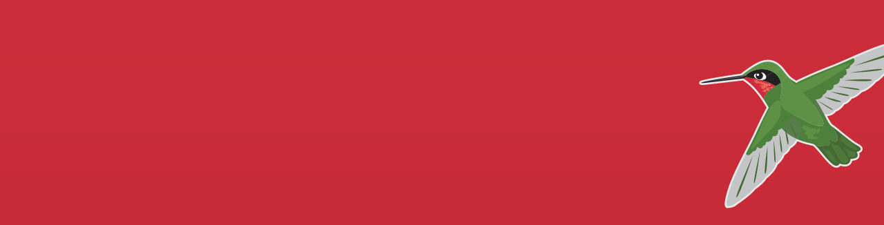 hummingbird banner