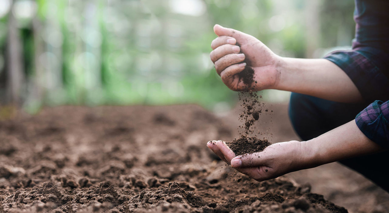 soil earth hands