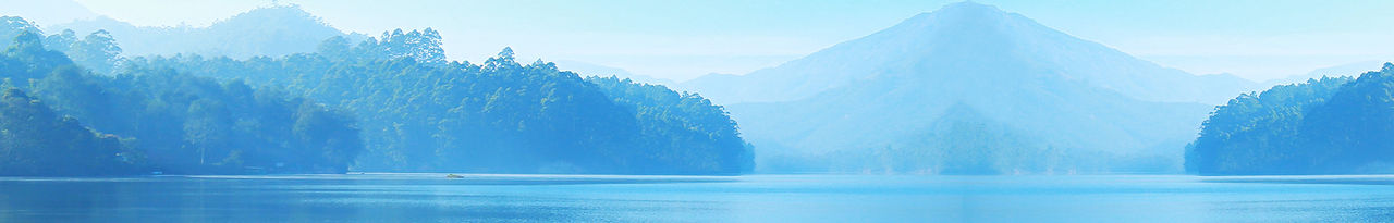 water forest mountain blue
