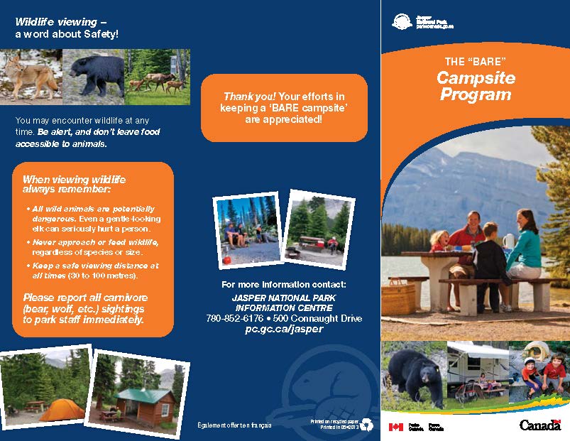 English Learn to Camp Guide