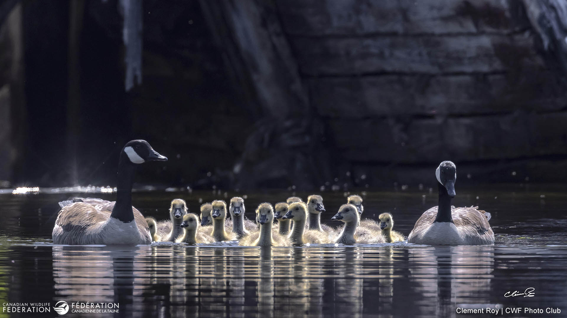 May - New Beginnings