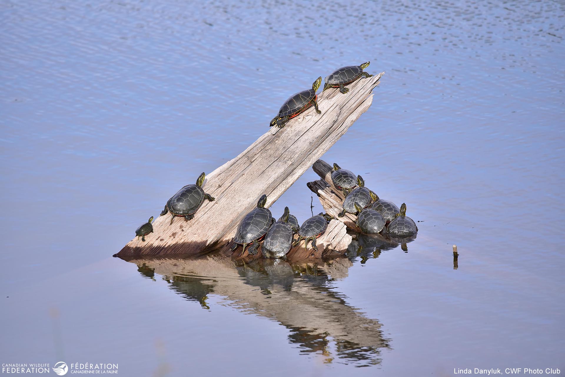 August - Stick Together