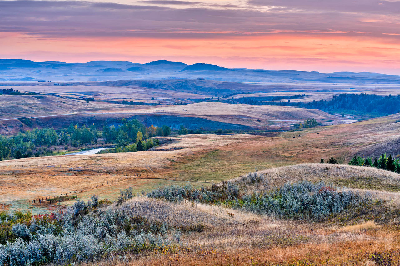 alberta countryside autumn 1317478778