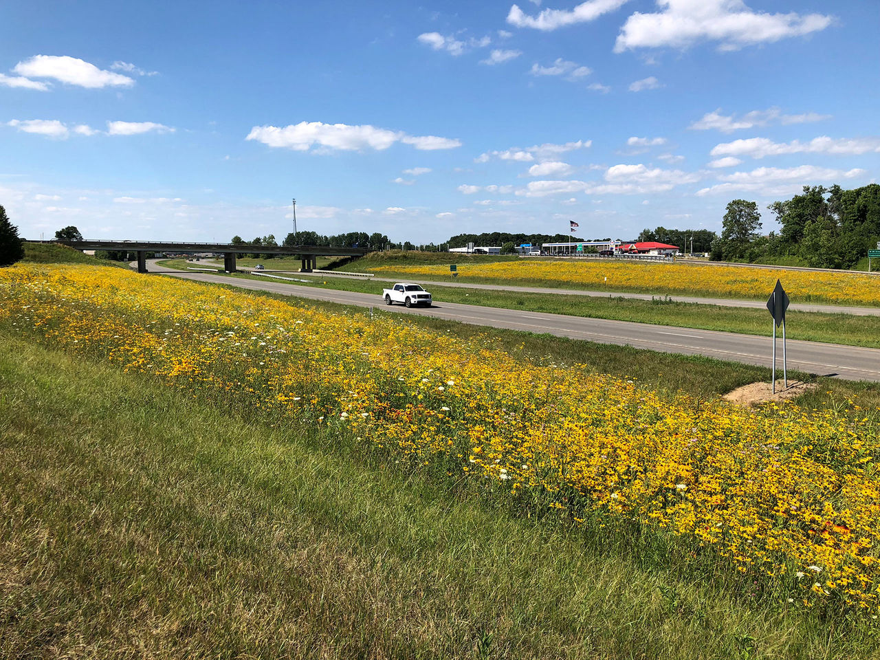 pollinator pathway roadway