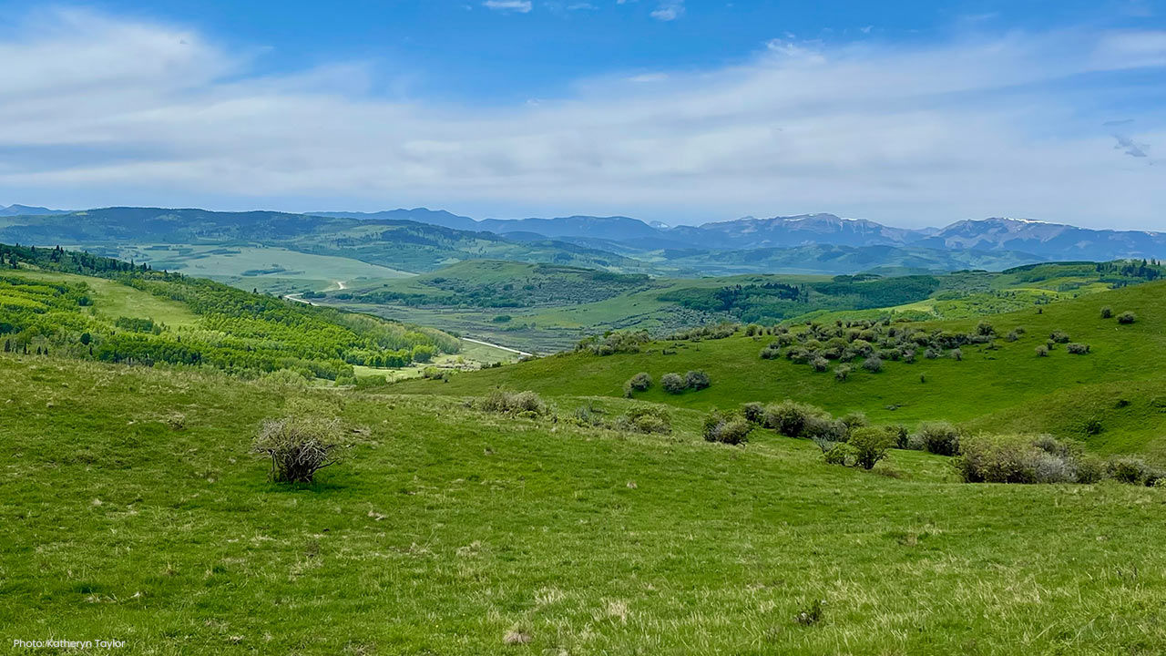 grasslands at work