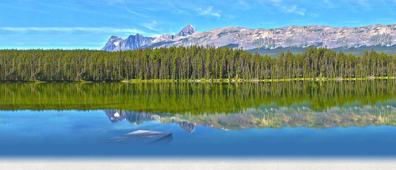 The Great Canadian Campout background
