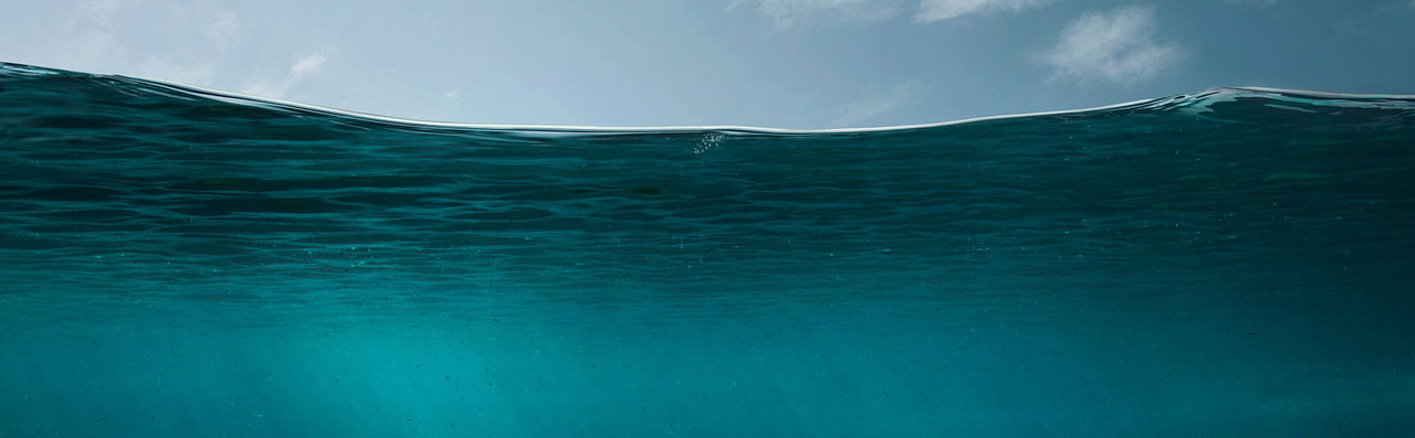 row water header plain