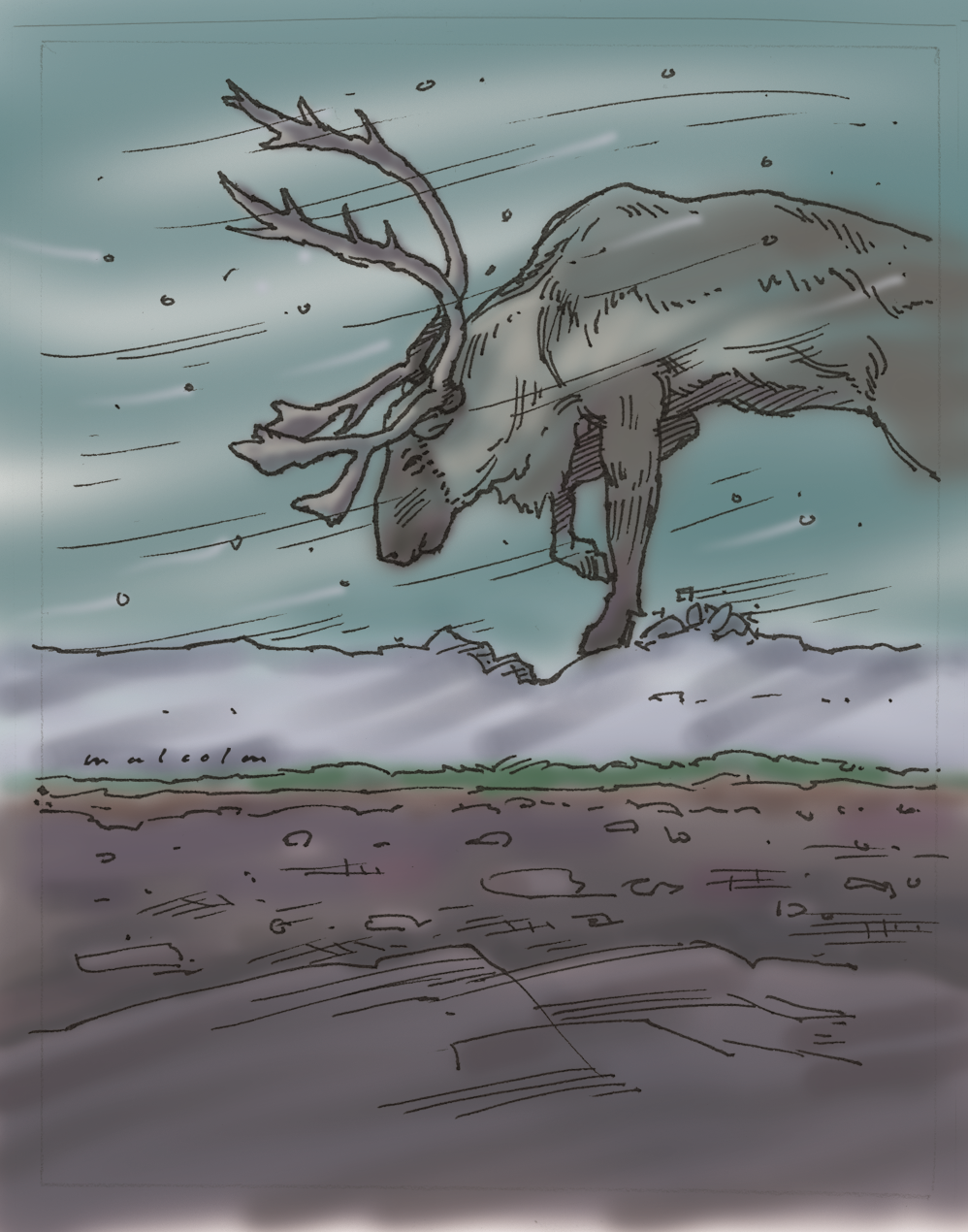 Illustration of caribou in snow storm